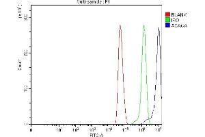 Flow Cytometry analysis of U251 cells using anti-ACACA antibody (ABIN7601254). (Acetyl-CoA Carboxylase alpha Antikörper  (AA 31-2336))