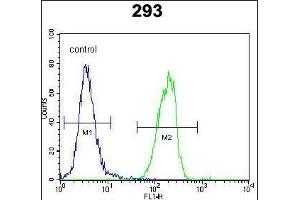 SOX2 Antibody (Center) (ABIN6243286 and ABIN6577389) flow cytometric analysis of 293 cells (right histogram) compared to a negative control cell (left histogram). (SOX2 Antikörper  (AA 89-119))