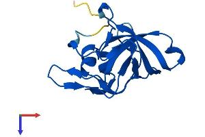 RPL23 Protein (AA 1-140) (His tag)