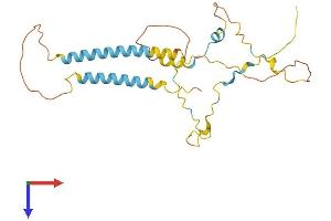 TMEM51 Protein (AA 1-253) (His tag)