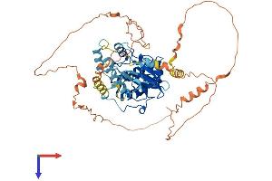 MAPK4 Protein (AA 1-587) (His tag)