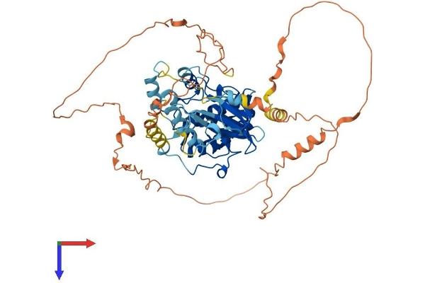 MAPK4 Protein (AA 1-587) (His tag)