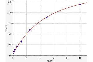 Typical standard curve (WISP2 ELISA Kit)
