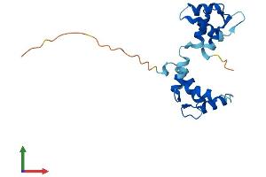 Protein Structure (PS) image for Myosin Light Chain 7, Regulatory (MYL7) (AA 1-175) protein (His tag) (ABIN7561731)