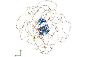 Protein Structure (PS) image for Lemur tyrosine Kinase 2 (LMTK2) (AA 1-1471) protein (His tag) (ABIN7563683)