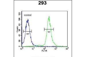 Flow cytometric analysis of 293 cells (right histogram) compared to a negative control cell (left histogram). (GBP7 Antikörper  (C-Term))