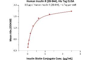 ELISA image for Insulin Receptor (INSR) (AA 28-944) (Active) protein (His tag) (ABIN6809906)