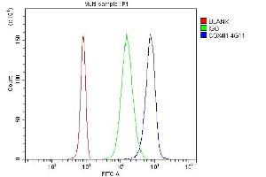Flow Cytometry analysis of U937 cells using anti- COX IV antibody (ABIN7602090). (COX IV Antikörper  (AA 59-169))