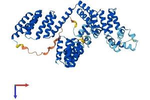 STIP1 Protein (AA 1-543) (His tag)