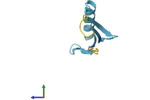 AlphaFold protein structure predicition of Human Recombinant UBE2DNL Protein, UniprotID Q8IWF7