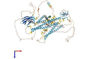WWC1 Protein (AA 1-1113) (His tag)