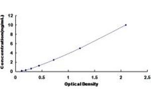 Typical standard curve (Ephrin A5 ELISA Kit)