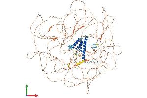 Protein Structure (PS) image for Chromosome 11 Open Reading Frame 30 (C11orf30) (AA 1-1322) protein (His tag) (ABIN7553786)