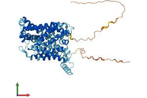 Protein Structure (PS) image for Solute Carrier Family 7 (Neutral Amino Acid Transporter Light Chain, Asc System), Member 10 (SLC7A10) (AA 1-530) protein (His tag) (ABIN7556646)