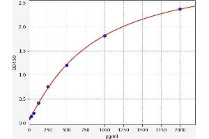 Granzyme K (Granzyme 3, Tryptase II) (GZMK) ELISA Kit