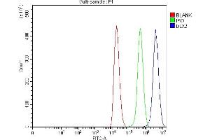 Flow Cytometry analysis of 293T cells using anti-DLX2 antibody (ABIN7599936). (DLX2 Antikörper  (AA 13-310))