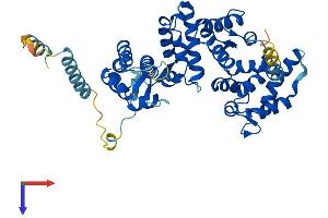 PPP2R3C Protein (AA 1-453) (His tag)
