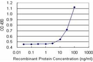 Sandwich ELISA detection sensitivity ranging from 10 ng/mL to 100 ng/mL.