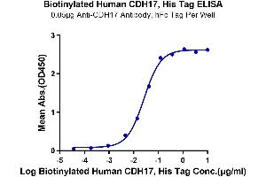 ELISA image for LI Cadherin (AA 23-787) protein (His-Avi Tag,Biotin) (ABIN7274314)