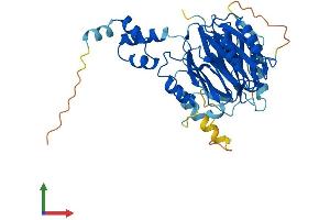 Protein Structure (PS) image for F-Box Protein 22 (FBXO22) (AA 1-402) protein (His tag) (ABIN7558171)