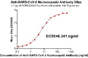 Elisa plate pre-coated by 2 μg/mL(100 μL/well) SARS-CoV-2 Nucleocapsid protein, His Tag(Cat. (SARS-CoV-2 Nucleocapsid Antikörper)
