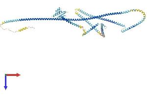 MAD1L1 Protein (AA 1-717) (His tag)