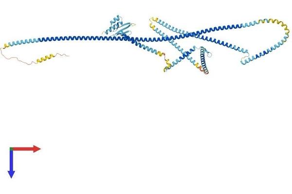 MAD1L1 Protein (AA 1-717) (His tag)