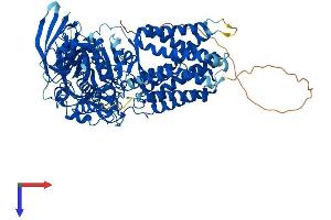 ERMP1 Protein (AA 1-898) (His tag)