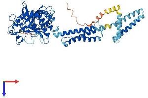 ATL1 Protein (AA 1-558) (His tag)