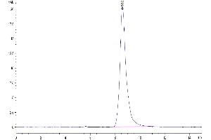 Size-exclusion chromatography-High Pressure Liquid Chromatography (SEC-HPLC) image for Transforming Growth Factor, alpha (TGFA) (AA 39-88) protein (Fc Tag) (ABIN7275722)