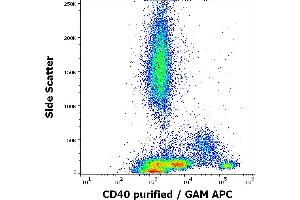 Flow cytometry surface staining pattern of human peripheral whole blood stained using anti-human CD40 (HI40a) purified antibody (concentration in sample 0. (CD40 Antikörper)