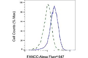 Validation of FANCC knockdown using flow cytometry. (FANCC Antikörper)