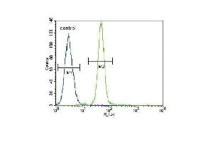 Flow Cytometry (FACS) image for anti-Heme Oxygenase (Decycling) 1 (HMOX1) (AA 177-204) antibody (ABIN655187)