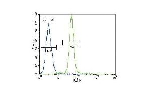 HMOX1 Antibody (Center) (ABIN655187 and ABIN2844803) flow cytometric analysis of A549 cells (right histogram) compared to a negative control cell (left histogram). (HMOX1 Antikörper  (AA 177-204))
