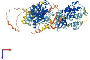 RPS6KA6 Protein (AA 1-745) (His tag)