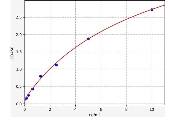 SPAG5 ELISA Kit