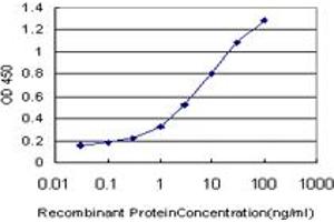 Detection limit for recombinant GST tagged NEK4 is approximately 0. (NEK4 Antikörper  (AA 680-781))