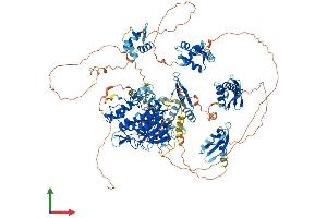AlphaFold protein structure predicition of Mouse Recombinant Adar Protein, UniprotID Q99MU3 (ADAR Protein (AA 1-1178) (His tag))