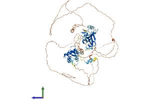 Protein Structure (PS) image for Dishevelled Segment Polarity Protein 1 (DVL1) (AA 1-695) protein (His tag) (ABIN7563374)