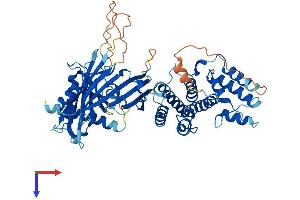 ZWILCH Protein (AA 1-591) (His tag)