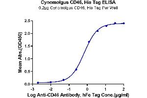 ELISA image for CD46 (CD46) (AA 35-329) protein (His tag) (ABIN7274175)