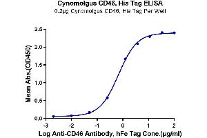 Immobilized Cynomolgus CD46, His Tag at 2 μg/mL (100 μL/well) on the plate. (CD46 Protein (CD46) (AA 35-329) (His tag))