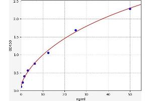 Aldolase C, Fructose-Bisphosphate (ALDOC) ELISA Kit