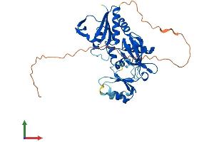 Protein Structure (PS) image for Ribosomal Modification Protein RimK-Like Family Member A (RIMKLA) (AA 1-380) protein (His tag) (ABIN7558068)