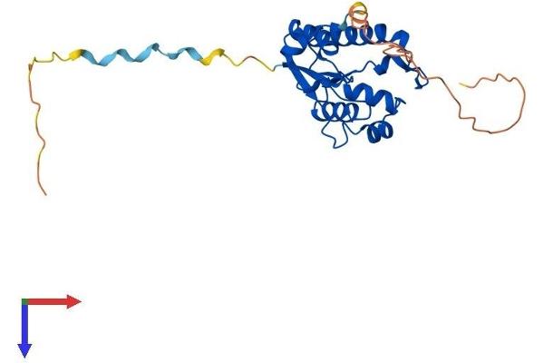 N4BP2L1 Protein (AA 1-238) (His tag)