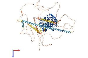 HDAC4 Protein (AA 1-1076) (His tag)