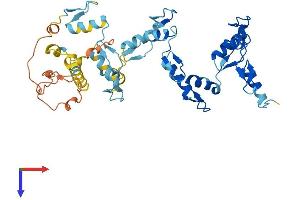 AlphaFold protein structure predicition of Human Recombinant ZNF586 Protein, UniprotID Q9NXT0