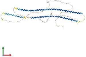 Protein Structure (PS) image for Keratin 5 (KRT5) (AA 1-580) protein (His tag) (ABIN7560241)