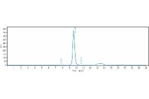 The purity of Anti- Human CTLA-4( Ipilimumab) is 99. (Rekombinanter CTLA-4 (Ipilimumab Biosimilar) Antikörper)