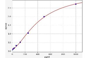 Mesencephalic Astrocyte-Derived Neurotrophic Factor (MANF) ELISA Kit